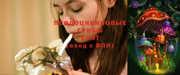 стаф Вяземский